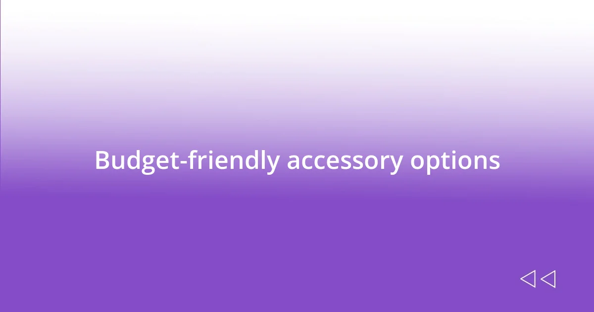 Budget-friendly accessory options